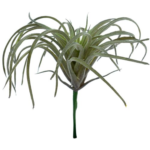 Article Plantes Vertes Artificielles Succulentes Tillandsia 13cm