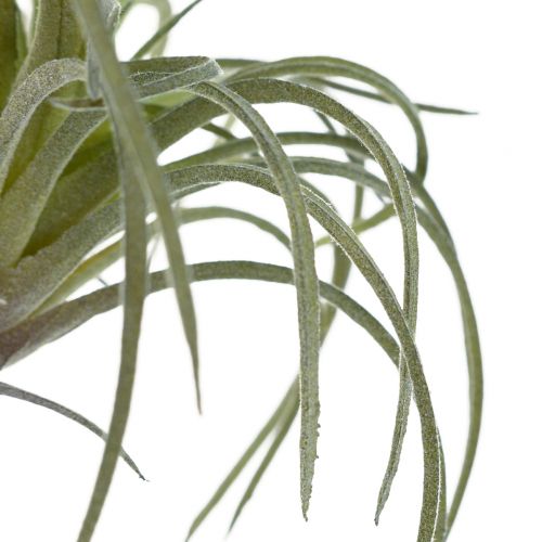 Article Plantes Vertes Artificielles Succulentes Tillandsia 13cm