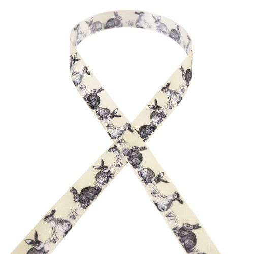 Floristik24 Ruban cadeau de Pâques ruban de soie Lapins de Pâques 25mm 18m