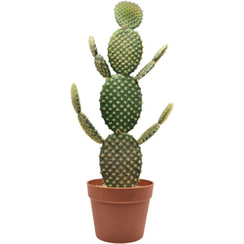 Floristik24 Cactus décoratif plante artificielle en pot figue de Barbarie 64cm