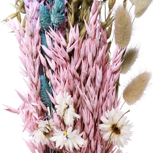 Floristik24 Bouquet de fleurs séchées fleurs de paille grain de Phalaris 58cm