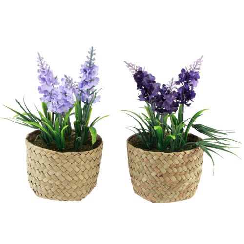 Floristik24 Jacinthe artificielle en pot jonc de mer bleu violet 16/17cm 2pcs