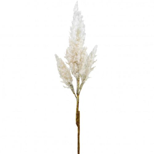 Floristik24 Herbe de pampa blanche crème gazon sec artificiel décoration 82cm