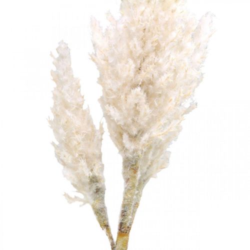 Article Herbe de pampa blanche crème gazon sec artificiel décoration 82cm