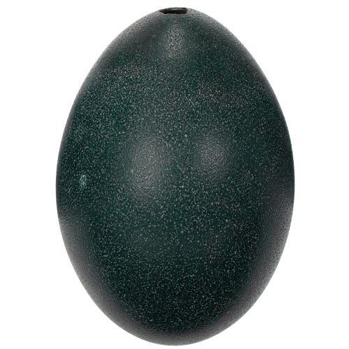 Article Décorations Emuei pour une décoration intérieure festive et des accents élégants pour Pâques