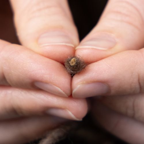 Article Fil à mèche, cordon de laine marron, 55 m, ficelle décorative pour l'art floral et les loisirs créatifs