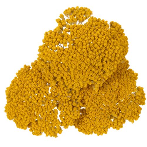 Achillea séchée jaune 1 kg,