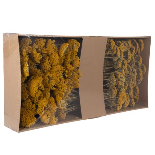 Achillea séchée jaune 1 kg,