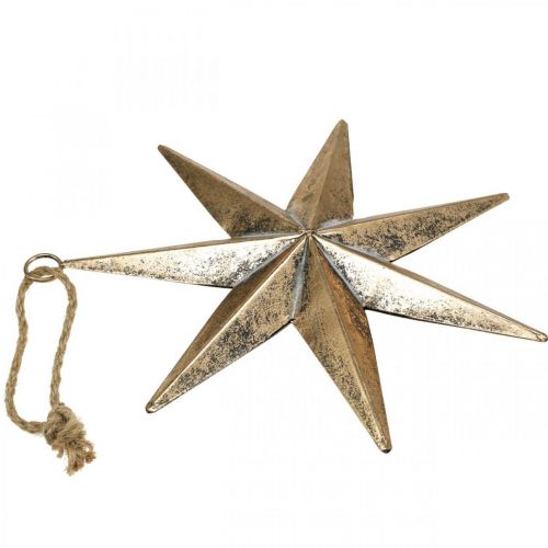 Floristik24 Décoration de Noël pendentif étoile dorée aspect antique 30,5 cm