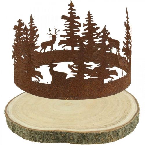 Floristik24 Cerf Déco Forêt Patine Déco Écorce d&#39;Arbre Naturel Ø25-27cm