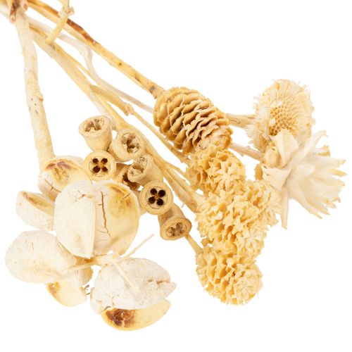 Article Assortiment africain, blanchi, 60 pièces