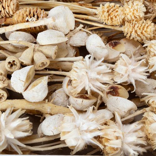 Article Assortiment africain, blanchi, 60 pièces