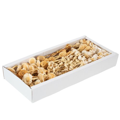 Article Assortiment africain, blanchi, 60 pièces