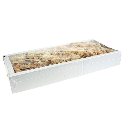 Article Assortiment Afrique blanchi 60 pcs