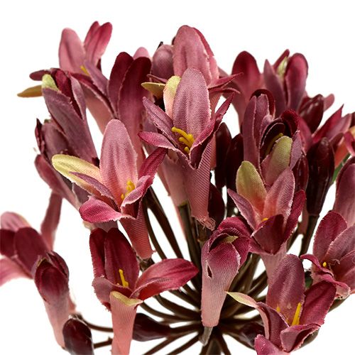 Floristik24 Agapanthe artificiel rouge foncé L75cm 3pcs