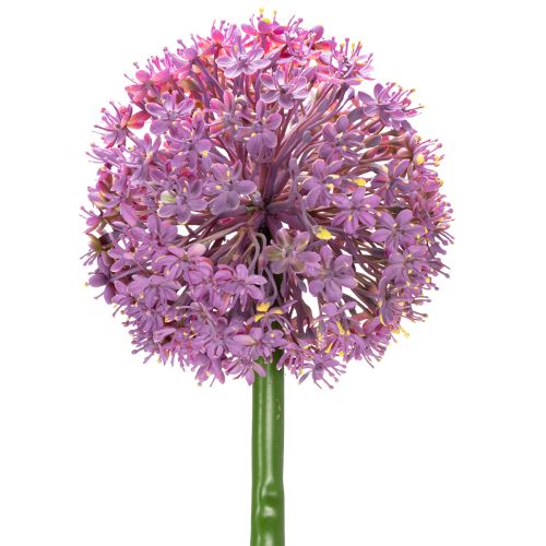 Floristik24 Fleur d'ail artificielle, oignon ornemental, décoration élégante pour la chambre, 90 cm
