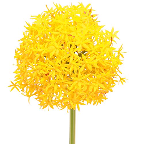 Article Allium Fleur Jaune Oignon Artificiel 80cm Ø14,5cm 2pcs