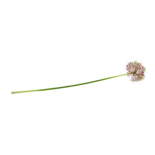 Floristik24 Allium violet clair L76cm