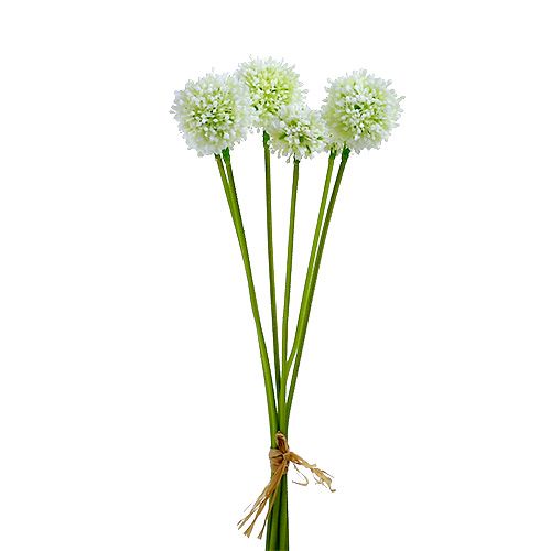 Floristik24 Allium 35 cm blanc 6 p.