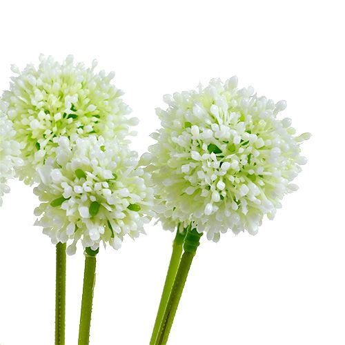 Article Allium 35 cm blanc 6 p.
