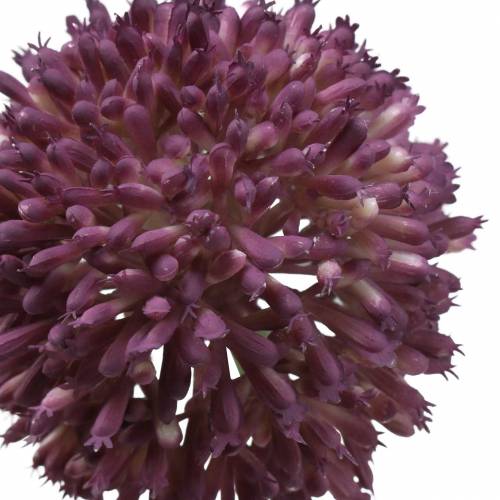 Floristik24 Allium ornemental lilas artificiel Ø8cm 58cm