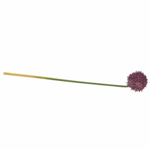 Floristik24 Allium ornemental lilas artificiel Ø8cm 58cm