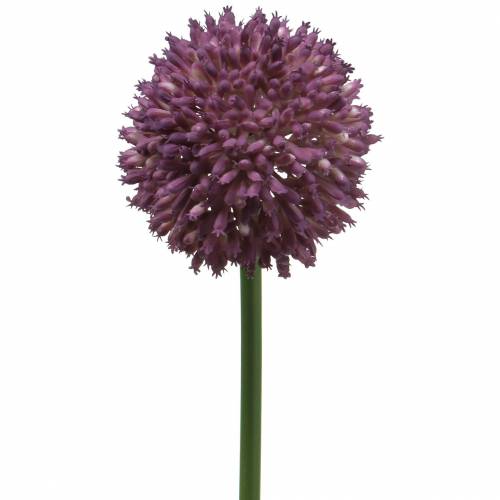 Floristik24 Allium ornemental lilas artificiel Ø8cm 58cm