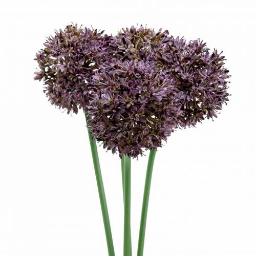 Allium déco artificiel Violet Ø7cm H58cm 4pcs