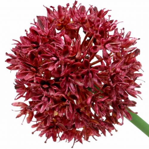 Floristik24 Allium déco artificiel Mauve Ø7cm H58cm 4pcs