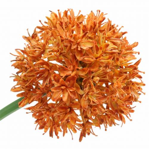 Floristik24 Oignon décoratif Allium orange artificiel Ø7cm H58cm 4pcs