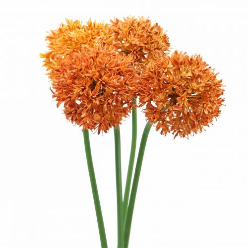 Floristik24 Oignon décoratif Allium orange artificiel Ø7cm H58cm 4pcs