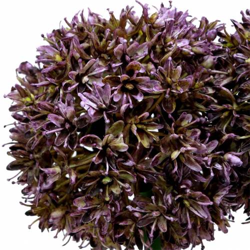 Article Allium déco artificiel Violet 70cm 3pcs