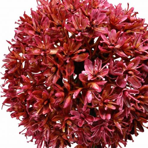 Floristik24 Allium ornemental artificiel Mauve Ø9cm H70cm 3pcs