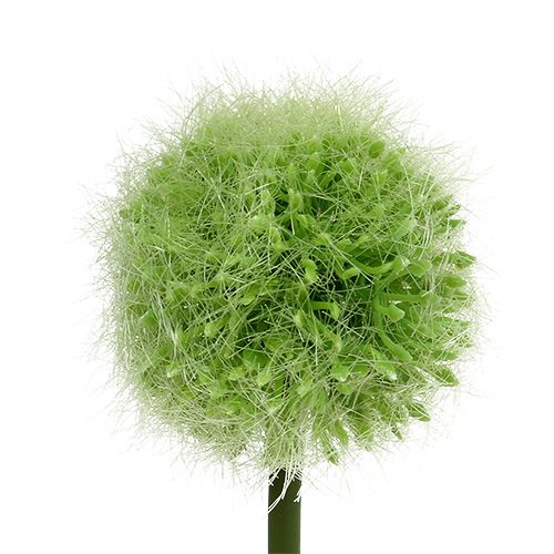 Article Allium vert L37.5cm 4pcs