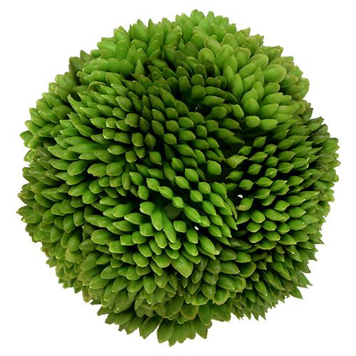 Floristik24 Boule d’allium 5 cm vert foncé 4 p.