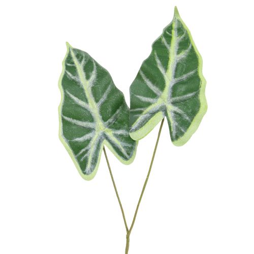 Floristik24 Alocasia Éléphant Oreille Flèche Feuille Plantes Artificielles Vert 55cm