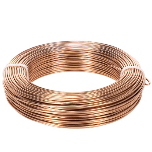 Fil d'aluminium 2 mm marron pour floristique et bricolage 60 m 500 g acheter | Floristik24.fr