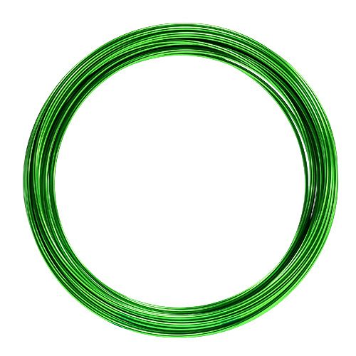 Floristik24 Fil aluminium 2mm 100g vert pomme