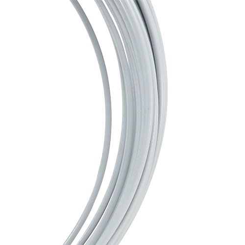 Article Fil d'aluminium 2mm 100g blanc