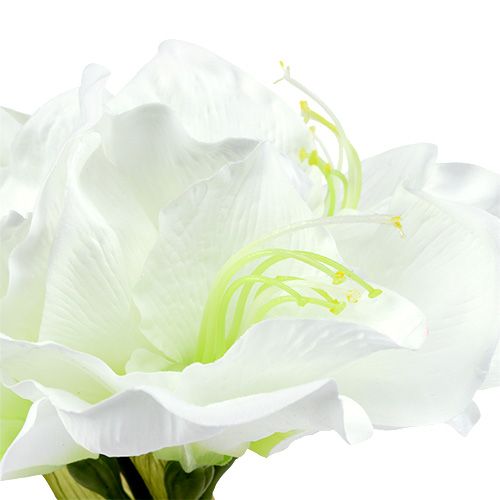 Article Amaryllis Fleur Blanc L 73cm 2pcs