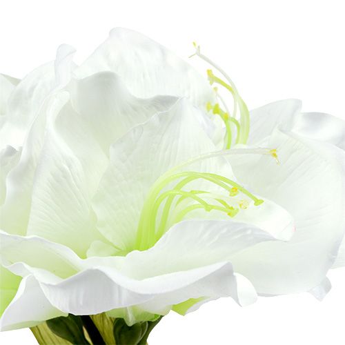 Floristik24 Amaryllis Fleur Blanc L 73cm 2pcs
