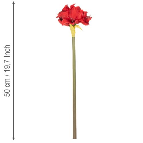 Fleur d'amaryllis rouge artificielle avec tige, décoration florale pour Noël, 50 cm | Floristik24.fr