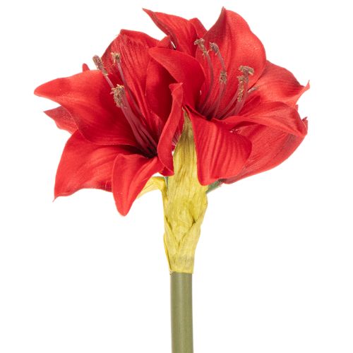 Fleur d'amaryllis rouge artificielle avec tige, décoration florale pour Noël, 50 cm | Floristik24.fr