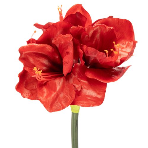 Amaryllis artificielle rouge à longue tige, pour vase et composition florale, 77 cm acheter | Floristik24.fr