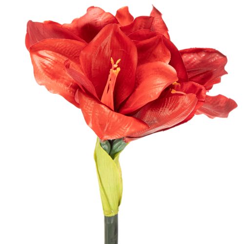 Amaryllis artificielle rouge à longue tige, pour vase et composition florale, 77 cm | Floristik24.fr