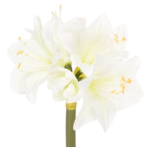 Amaryllis artificielle blanche avec tige, Avent et Noël, 50 cm