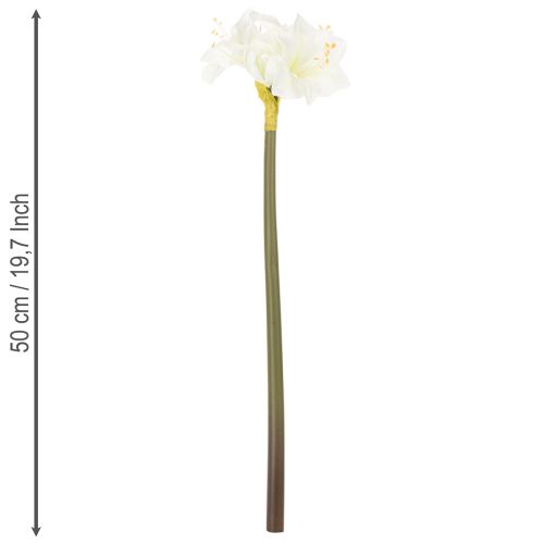 Amaryllis artificielle blanche avec tige, Avent et Noël, 50 cm | Floristik24.fr