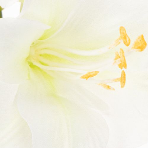 Amaryllis artificielle blanche avec tige, Avent et Noël, 50 cm | Floristik24.fr