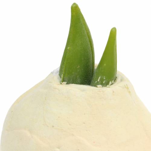 Floristik24 Amaryllis tuber Artificiel blanc 12.5cm 3pcs