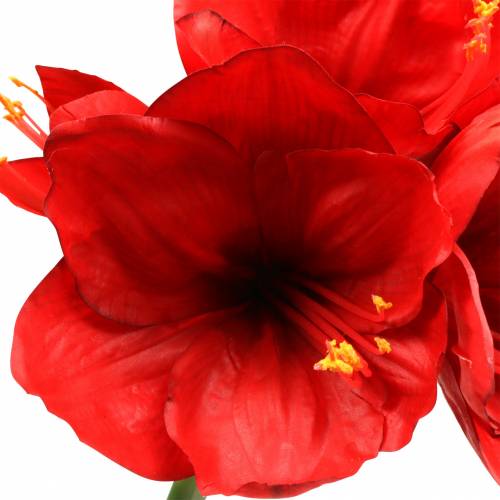 Article Amaryllis rouge 75cm